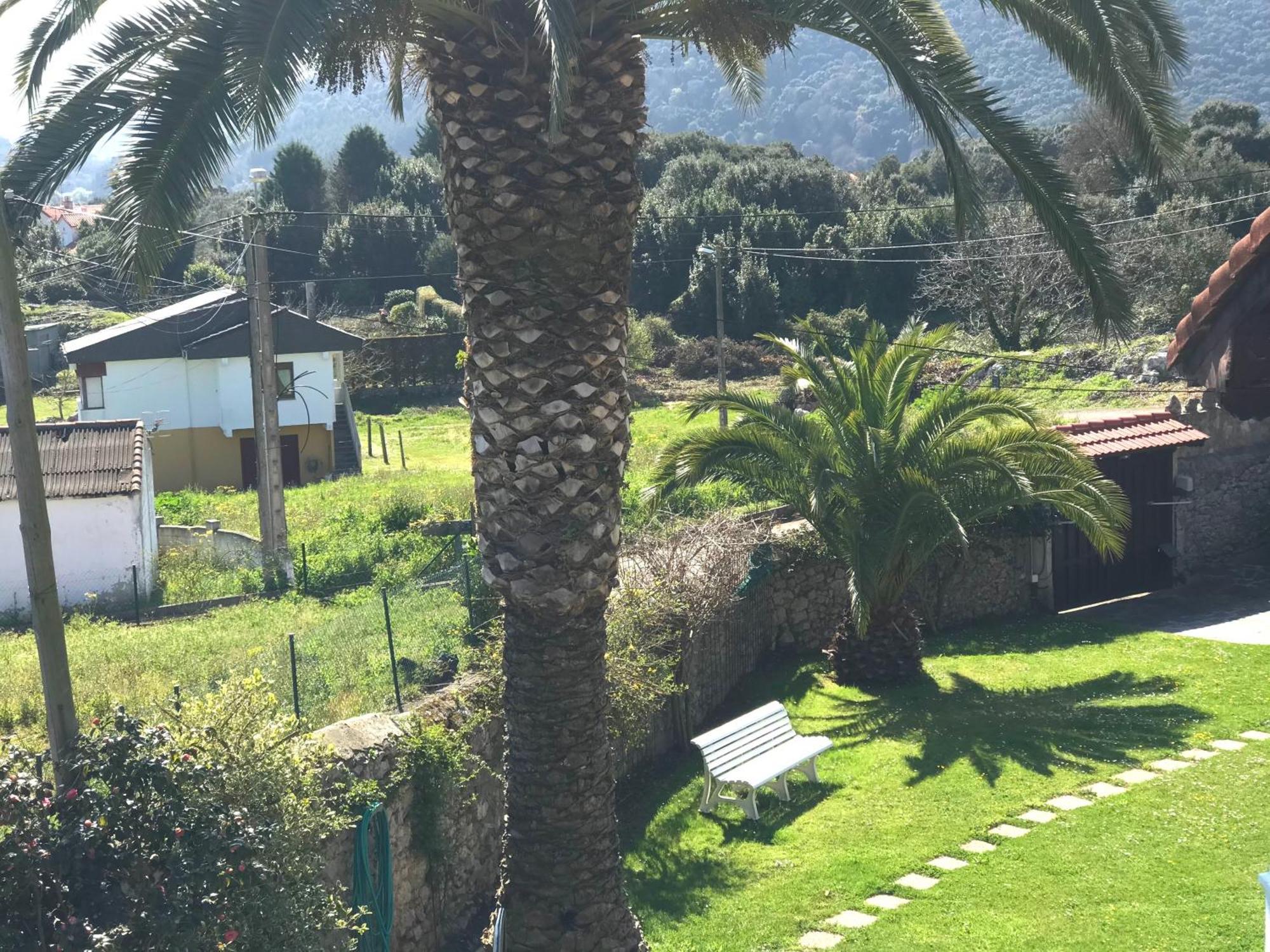 Estudio De Encanto En Isla Playa أرنويرو المظهر الخارجي الصورة